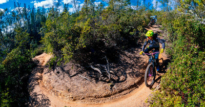 3 Reasons Why You Need a Mountain Bike Specific Shoe