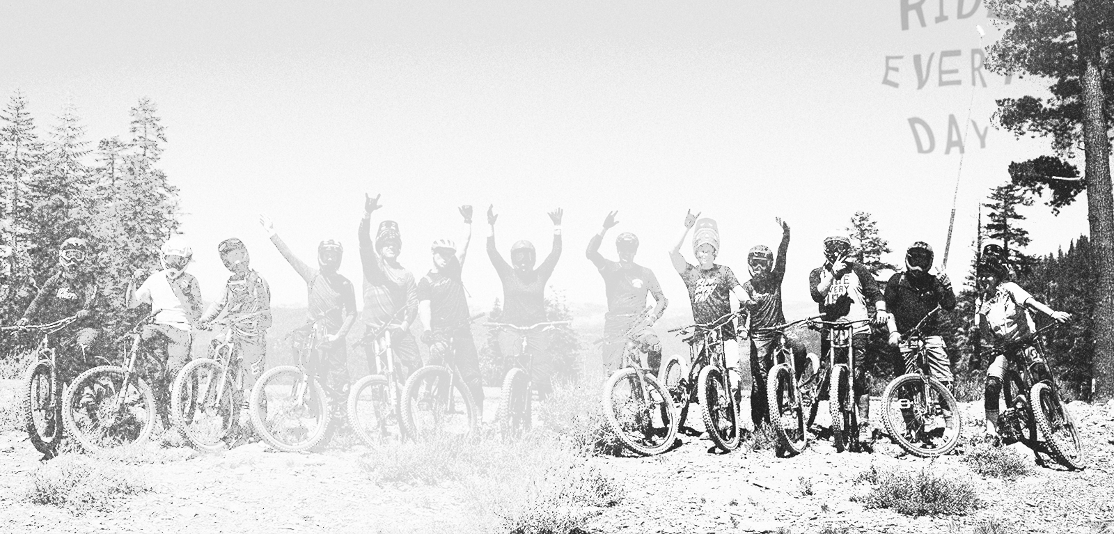 White mountain online bike shop